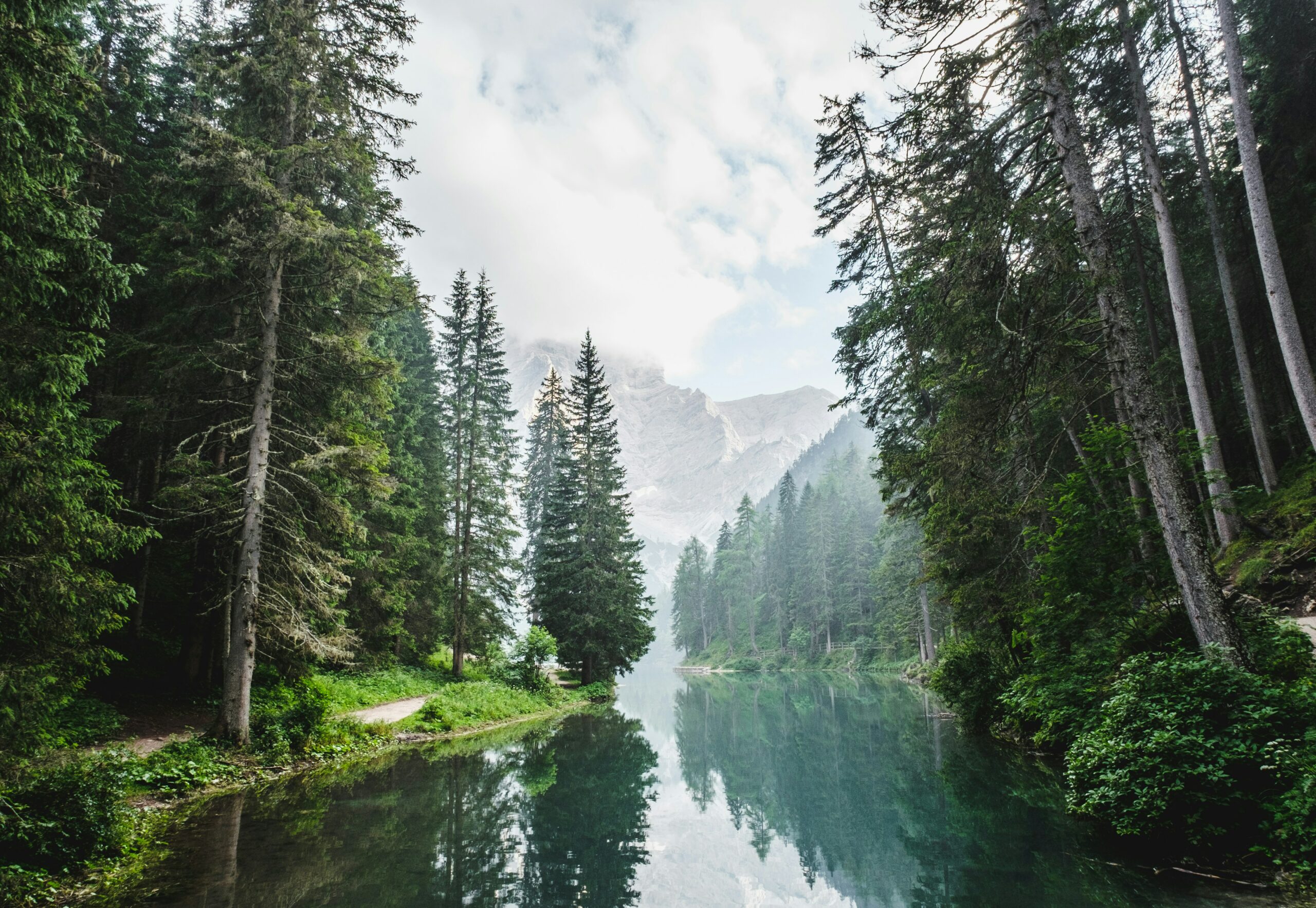 Deciphering the Legal Maze: Environmental Law, Regulation, and the Battle Against Forest Fires and Deforestation