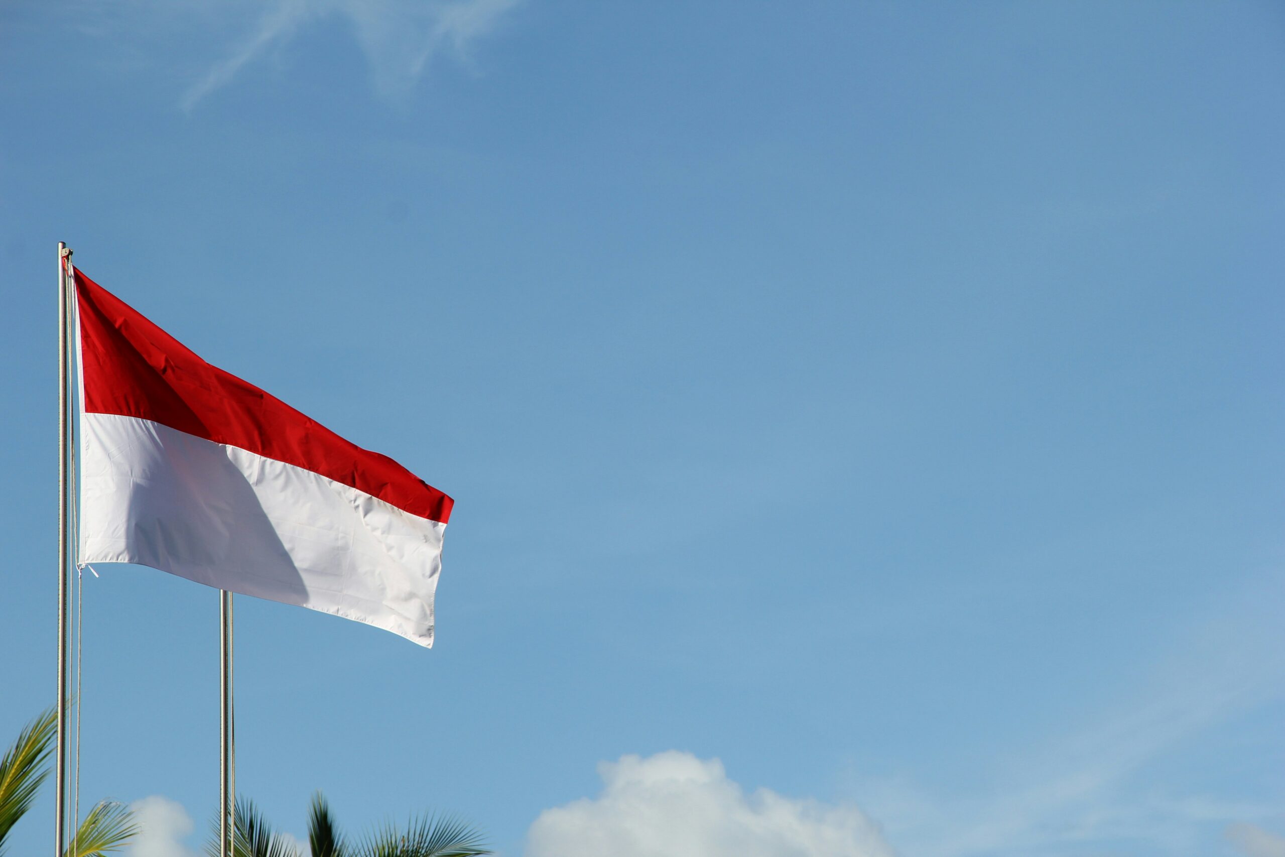 Navigating Foreign Investment Regulations: A Comprehensive Analysis of FDI in Indonesia