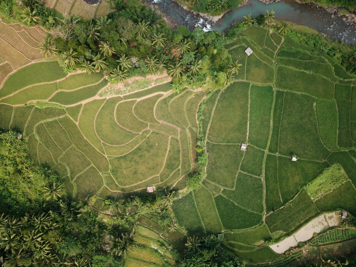 Explorar el Derecho de la Tierra y de la Propiedad en Indonesia