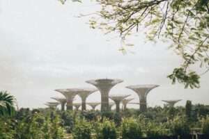 key employment changes Singapore