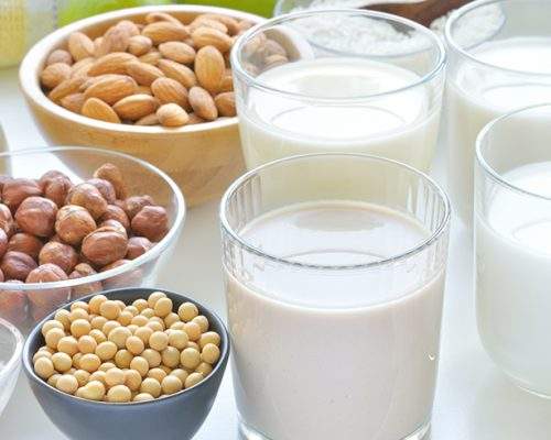 EU Parliament Rejects ‘Veggie Burger Ban’ but Supports ‘Dairy Ban’